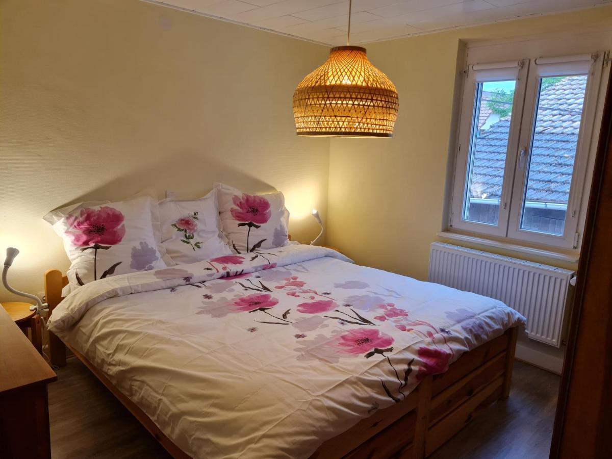 Les Chouchous Du Ried 2 Apartment Saasenheim Ngoại thất bức ảnh